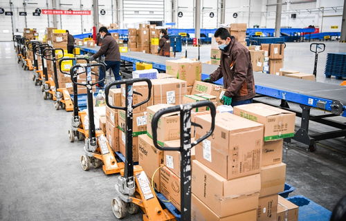 哈爾濱重點(diǎn)物流企業(yè)復(fù)工率超90%，城市物流動(dòng)脈強(qiáng)勁復(fù)蘇